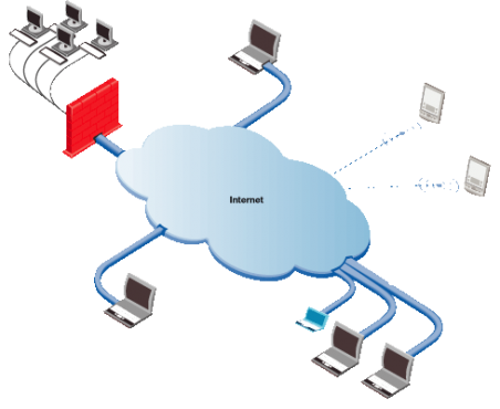 Networking & Hardware